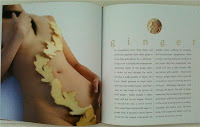 InterCourses Ginger Chapter Photo